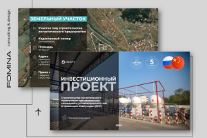 Разработка презентации для инвестора