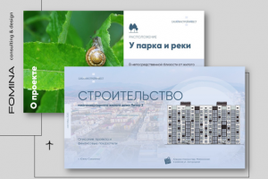 Разработка презентации для инвестора