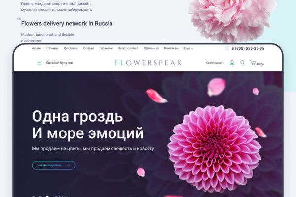 img3759130.png