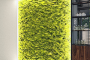 Студия колористики Марии Мельниковой