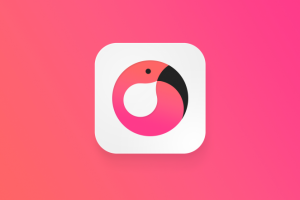 Flamingo Chat // Мессенджер