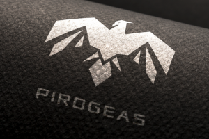 Логотип PIROGEAS
