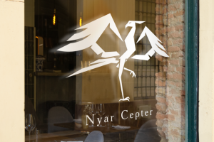 Логотип Nyar Cepter