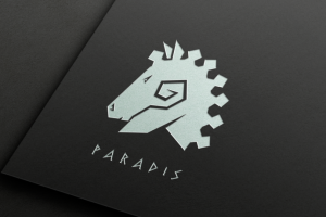 Логотип PARADIS