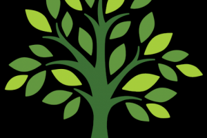 Логотип для питомника растений