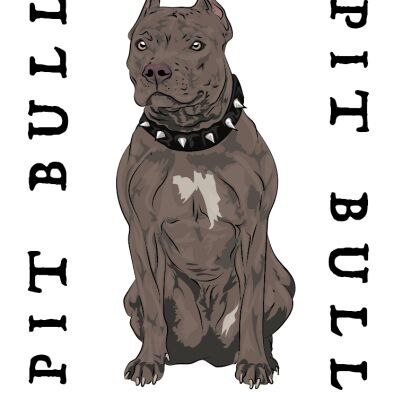 img4377422.png