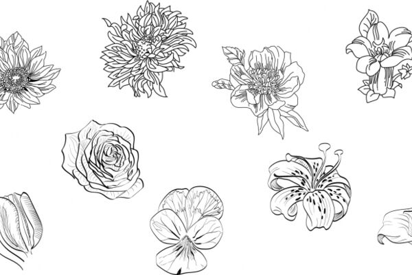 img4203570.png