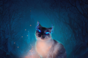 Арт. Кошка