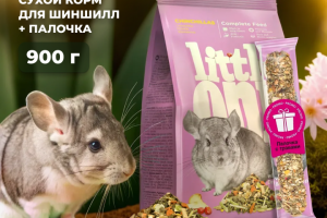 Дизайн карточек для Ozon
