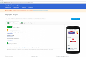 Оптимизация для Google Page Speed