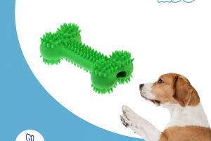 Инфограграфика