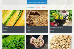 Обучение CMS Joomla, Wordpress, Opencart