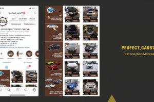 perfect_cars77