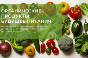 Дизайн презентации