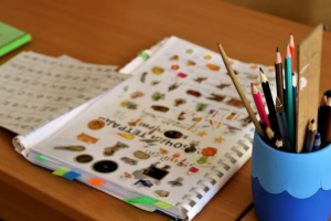 Статья для СМИ об образовательном проекте