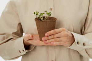 Пост-описание работы