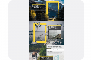 Дизайн лендинга