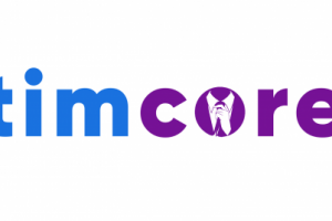 Логотип Timcore