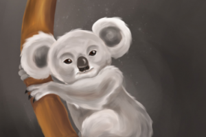 Коала