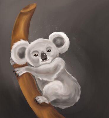 img4351881.png