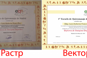 Отрисовка в векторе сертификата