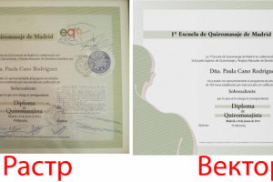 Отрисовка в векторе сертификата