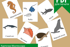 Обучающие карточки "Морские жители"