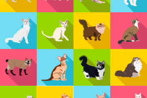 Иконки "Кошки"