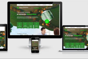 Земля в Вашутино