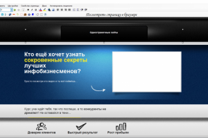 Программа для создания одностраничных продающих мини-сайтов.