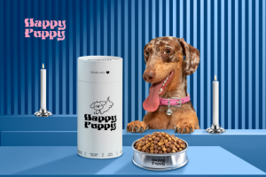 Фирменный стиль корма для собак