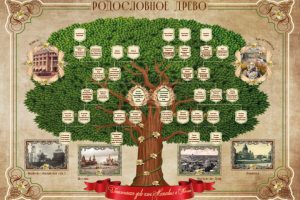 Дизайн и отрисовка родословного древа