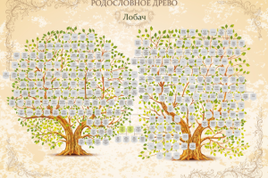 Дизайн родословного древа