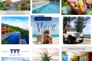 Работа 3411456