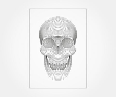 img3343726.png