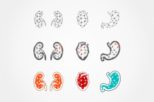 Иконки "Человеческие органы"