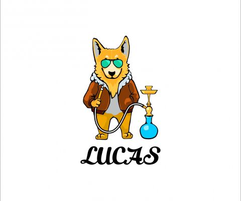 img3559216.png