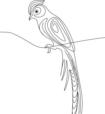 img4368206.png