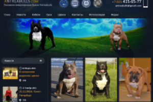 Весрка MODX + мобильная и планшетная версии