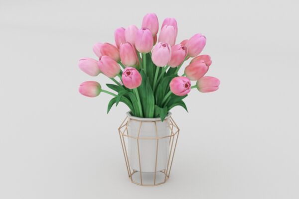 img3754224.png