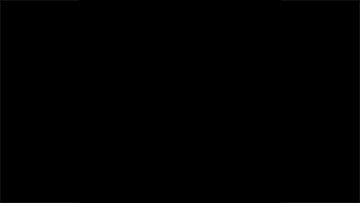 img3755734.png