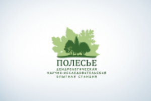 "Полесье"