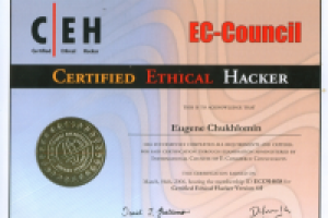 Тестирование на наличие уязвимостей