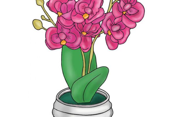img4518702.png