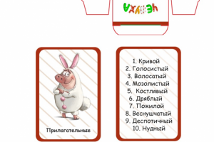 Дизайн настольной карточной игры (8+). Вариант 2