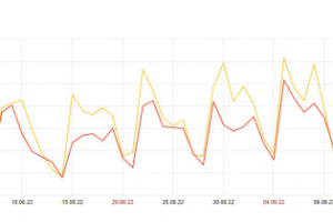 Продвижение сайта оценочной компании г. Санкт-Петербург