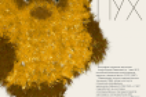 Календарь. Страничка посвещенная Хитруку, создателю Винни Пуха