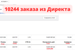 10244 заказа из Директа