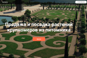 Питомник растений_Настройка Яндекс Директ и Google Ads