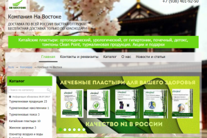 Интернет магазин_Настройка Яндекс Директ и Google AdWords